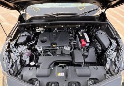 
										2024 TOYOTA HARRIER full									